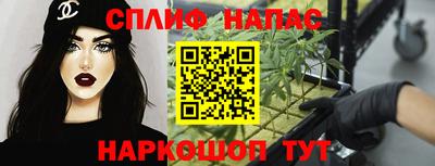 PSILOCYBIN Будённовск