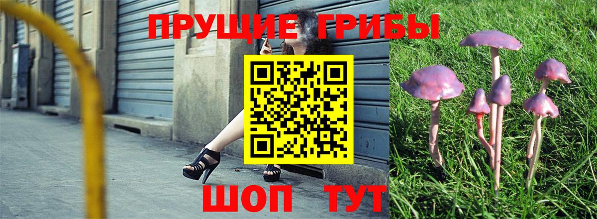 Полысаево  Галлюциногенные грибы Psilocybine cubensis  Вход с VPN 